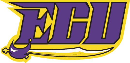East Carolina Pirates 1999-2013 Wordmark Logo t shirts iron on transfers v3